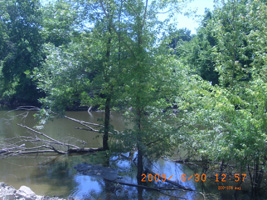 Photo not available